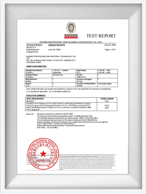 تقرير اختبار BV