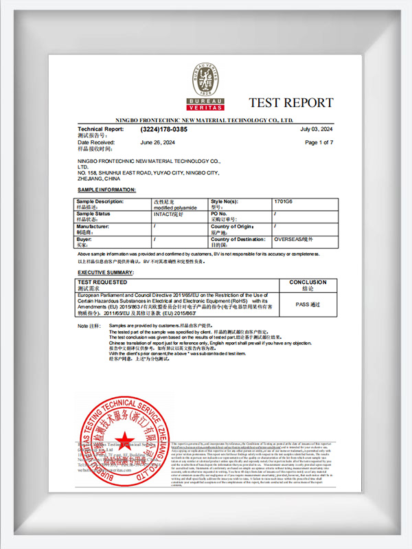 تقرير اختبار سلسلة 1000 NAT