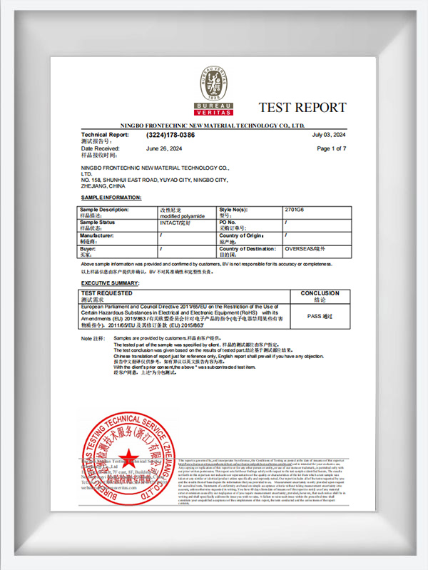تقرير اختبار سلسلة NAT لعام 2000